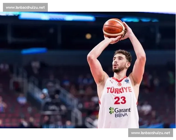 瑞典中锋盛赞申京：全能身手难挡攻防锋芒